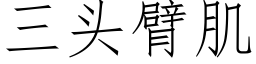 三頭臂肌 (仿宋矢量字庫)