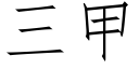 三甲 (仿宋矢量字庫)