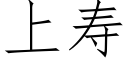 上壽 (仿宋矢量字庫)