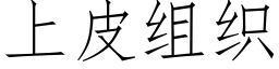 上皮組織 (仿宋矢量字庫)