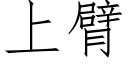 上臂 (仿宋矢量字库)