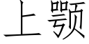 上颚 (仿宋矢量字库)