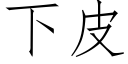 下皮 (仿宋矢量字庫)