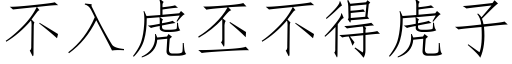 不入虎丕不得虎子 (仿宋矢量字库)