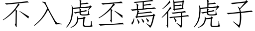 不入虎丕焉得虎子 (仿宋矢量字庫)