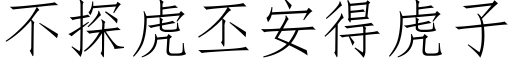 不探虎丕安得虎子 (仿宋矢量字庫)