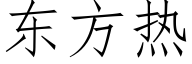 东方热 (仿宋矢量字库)