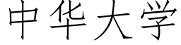 中华大学 (仿宋矢量字库)