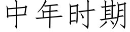 中年时期 (仿宋矢量字库)