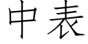 中表 (仿宋矢量字库)