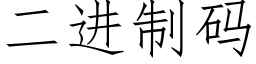 二进制码 (仿宋矢量字库)