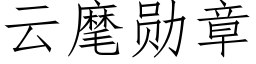 云麾勋章 (仿宋矢量字库)