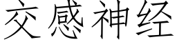 交感神經 (仿宋矢量字庫)