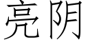 亮阴 (仿宋矢量字库)