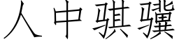 人中骐骥 (仿宋矢量字库)