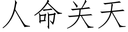 人命关天 (仿宋矢量字库)
