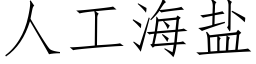 人工海盐 (仿宋矢量字库)