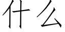 什麼 (仿宋矢量字庫)