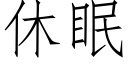 休眠 (仿宋矢量字庫)