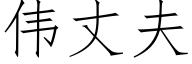 伟丈夫 (仿宋矢量字库)