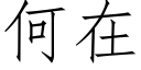 何在 (仿宋矢量字庫)