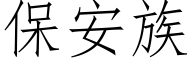 保安族 (仿宋矢量字庫)