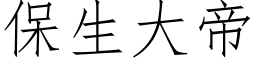 保生大帝 (仿宋矢量字库)