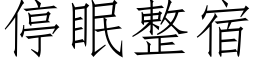 停眠整宿 (仿宋矢量字庫)