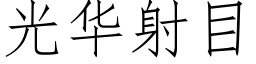 光华射目 (仿宋矢量字库)