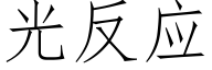 光反应 (仿宋矢量字库)