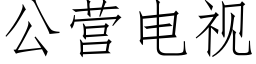 公營電視 (仿宋矢量字庫)