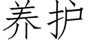 养护 (仿宋矢量字库)