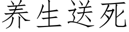 养生送死 (仿宋矢量字库)