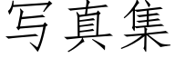 寫真集 (仿宋矢量字庫)