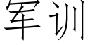 军训 (仿宋矢量字库)