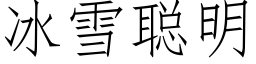 冰雪聪明 (仿宋矢量字库)