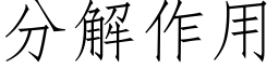 分解作用 (仿宋矢量字庫)