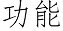 功能 (仿宋矢量字庫)