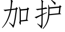 加護 (仿宋矢量字庫)