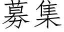 募集 (仿宋矢量字庫)