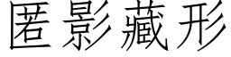 匿影藏形 (仿宋矢量字庫)