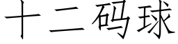 十二碼球 (仿宋矢量字庫)