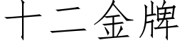 十二金牌 (仿宋矢量字庫)