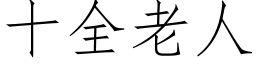 十全老人 (仿宋矢量字库)