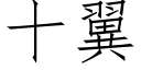 十翼 (仿宋矢量字库)