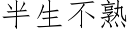 半生不熟 (仿宋矢量字庫)