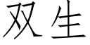 双生 (仿宋矢量字库)