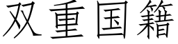 双重国籍 (仿宋矢量字库)