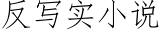 反写实小说 (仿宋矢量字库)