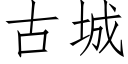 古城 (仿宋矢量字庫)